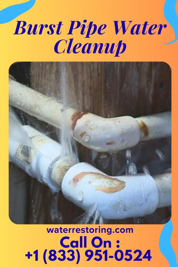 Burst Pipe Water Cleanup in Mountainside, NJ
