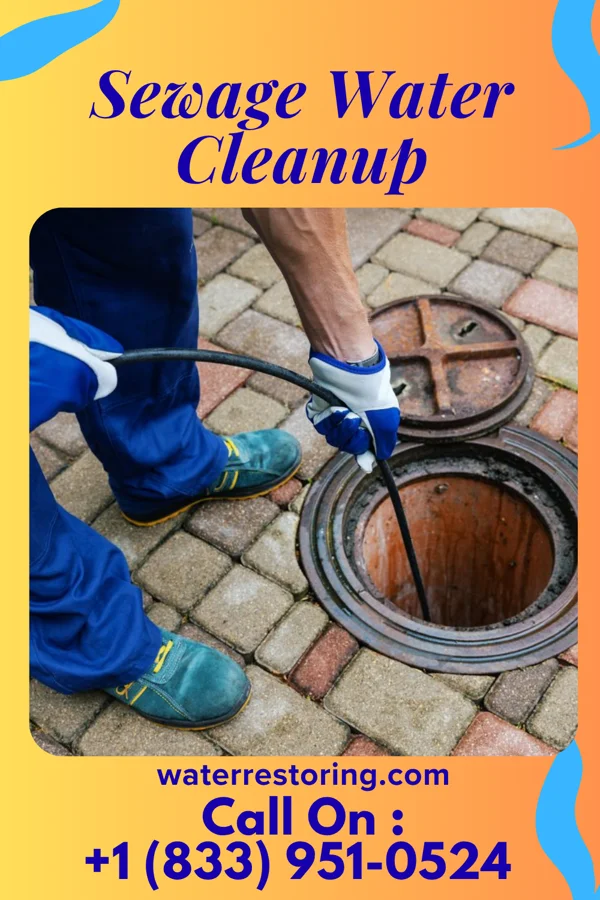 Sewage Water Cleanup in Mountainside, NJ