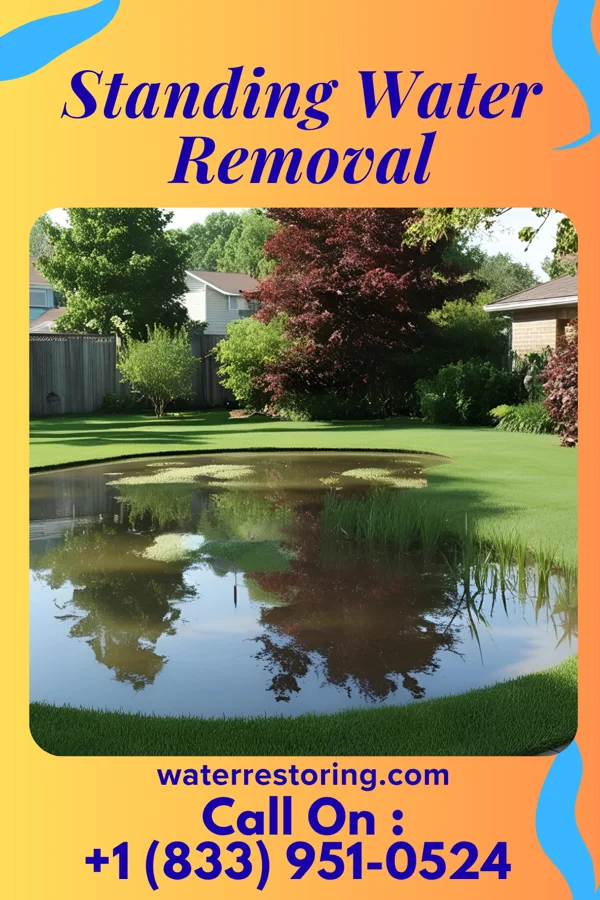 Standing Water Removal in Mountainside, NJ